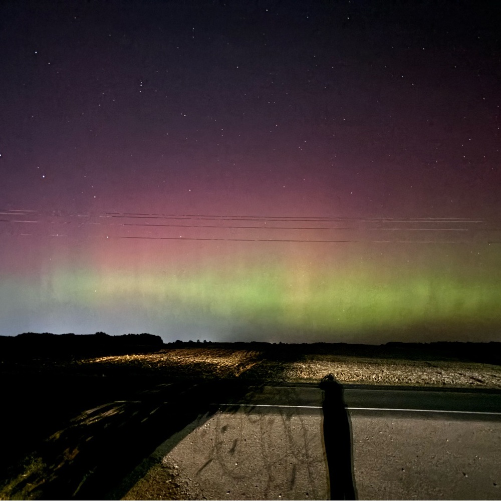 Meet your Posher, Jessi